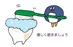 ５０代の女性の歯磨き　歯磨きの方法